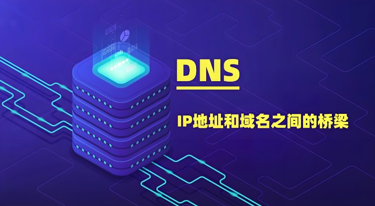 DNS地址